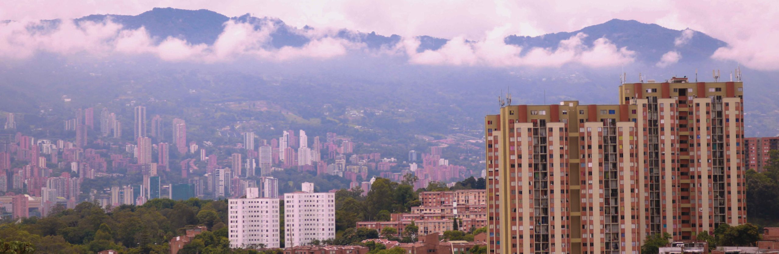 Banner Sitio Web 03 min scaled
