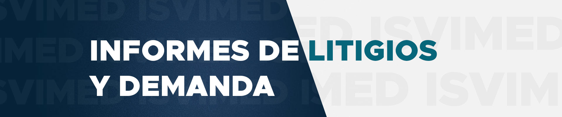 banner litigios